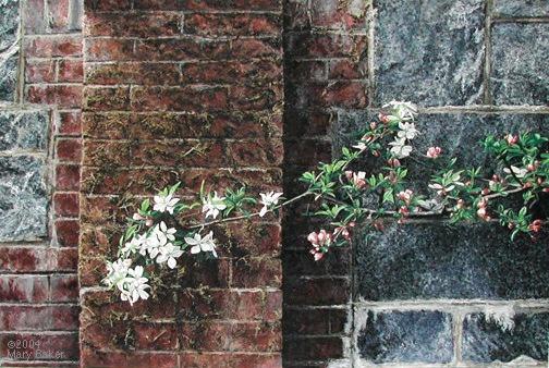 'Apple Blossoms and Wall' ©
